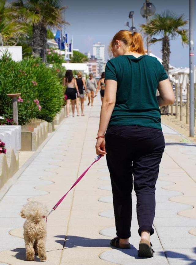 Hotel Columbia & Ninfea Lido di Jesolo Eksteriør bilde